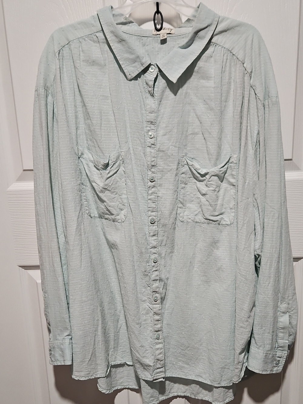 Wonderly Light Mint Green Button-Down Shirt